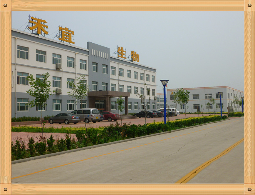 Porcellana Weifang Heyi Agrochemical Co.,Ltd