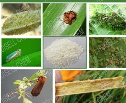 CAS 153719-23-4 granelli degli insetticidi dell'antiparassitario di Thiamethoxam del GRUPPO DI LAVORO di Thiamethoxam 3%